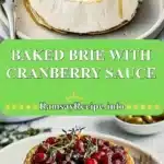 baked brie with cranberry sauce 2025 12 23 205820 150x150 1