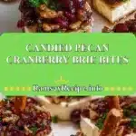 candied pecan cranberry brie bites 2025 12 23 230428 150x150 1