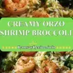 creamy orzo shrimp broccoli 2025 12 23 212446 150x150 1