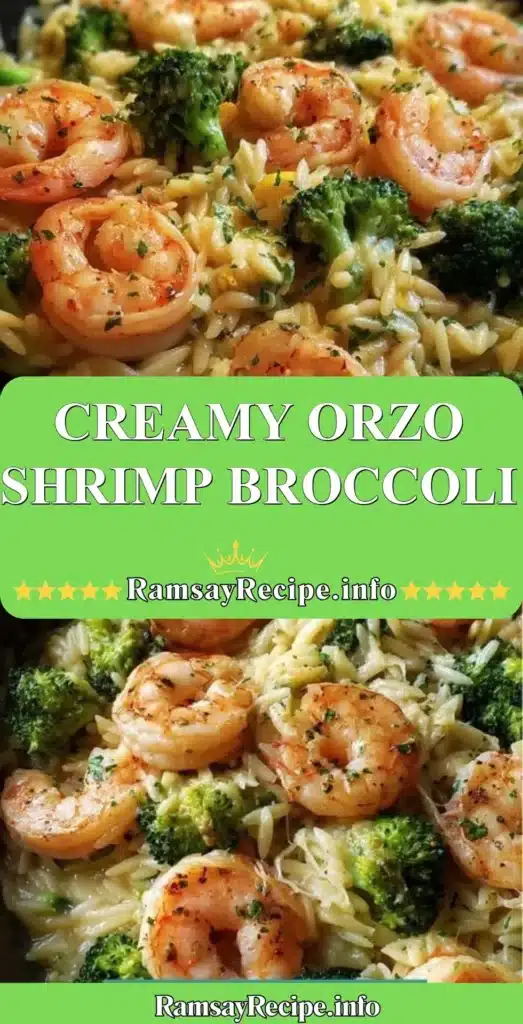Delicious creamy orzo with shrimp and broccoli served in a bowl.