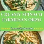 creamy spinach parmesan orzo 2025 12 23 205814 150x150 1