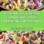 Deliciously Creamy Cranberry Apple Coleslaw You'll Love 3 deliciously creamy cranberry apple coleslaw youll 2025 12 23 210830 150x150 1