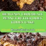 heavenly chocolate peanut butter ooey gooey cake 2025 12 23 212406 150x150 1