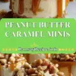 Peanut Butter Caramel Minis 3 peanut butter caramel minis 2025 12 23 212535 150x150 1