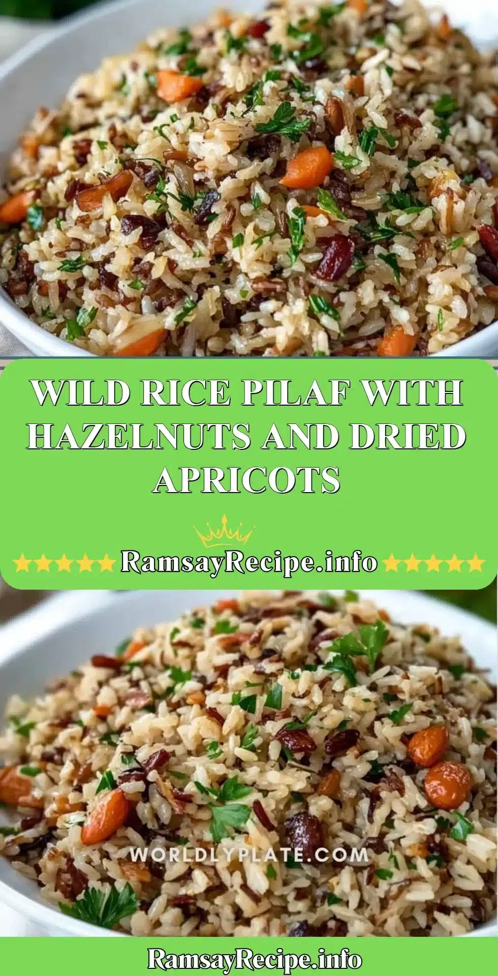 Delicious wild rice pilaf with hazelnuts and dried apricots in a bowl